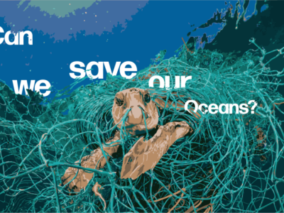 SAVE OUR OCEAN